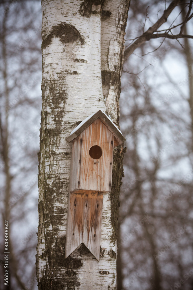 Birdhouse on the tree. Wooden birdhouse on a birch in city park