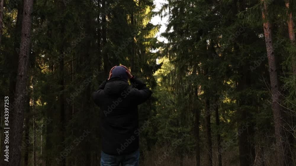 Tourist in Glacier Bay puts on a hat. Glacier Bay. A tourist looks at the Glacier Bay forest and begins to walk. Tourist walks in Glacier Bay Tourist in Glacier Bay puts on a hat. Glacier Bay. A tourist looks at the Glacier Bay forest and begins to walk. Tourist walks in Glacier Bay