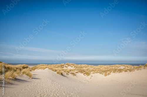 Fototapeta Naklejka Na Ścianę i Meble -  The dunes at Terschelling with a nice blue sky
