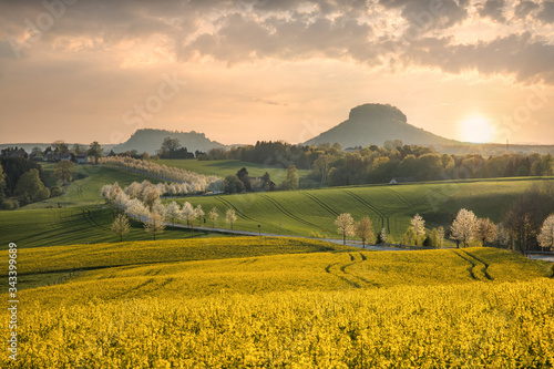 Blick auf die Lilienstein in der Sächsische Schweiz bei Sonnenuntergang im April
