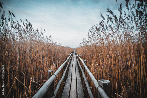 wooden bridge over lake with rye bent-grass
