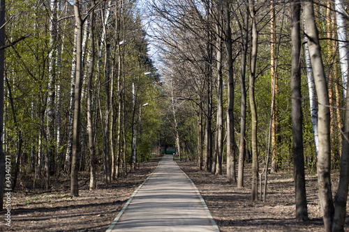 Empty road trail in spring park