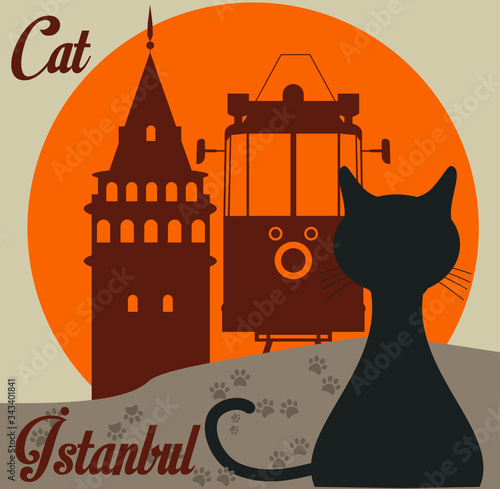 Silhouette of cat. Vector illustration. Cute pet . Turkey istanbul . Galata Tower and Maiden's Tower .