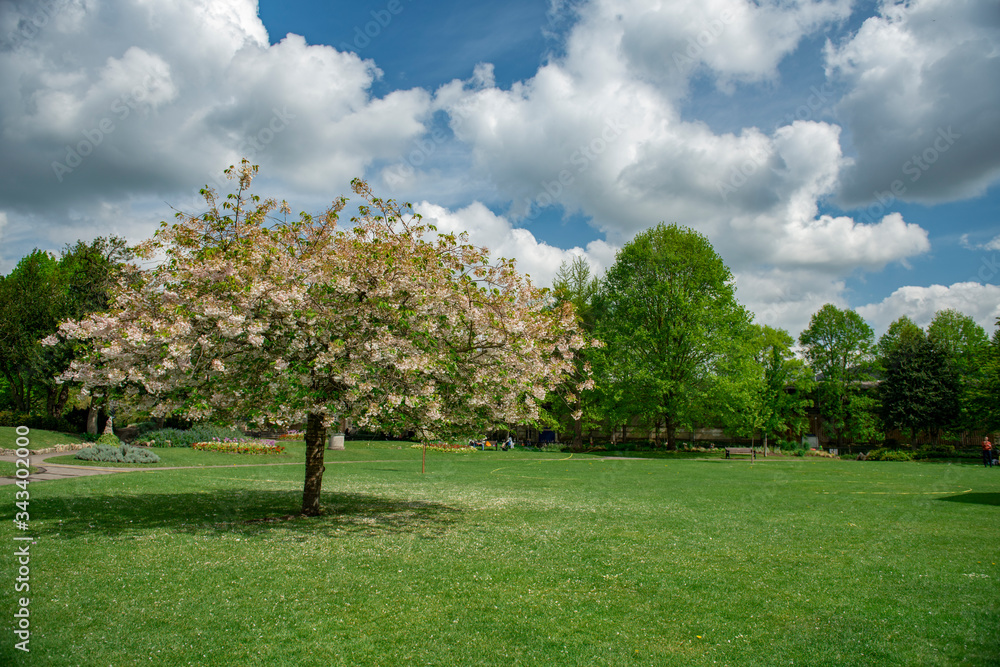 Fototapeta premium Panoramic view from Public Garden in Bath, UK