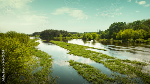 Panorama of Biebrza river in Biebrza National Park, Poland