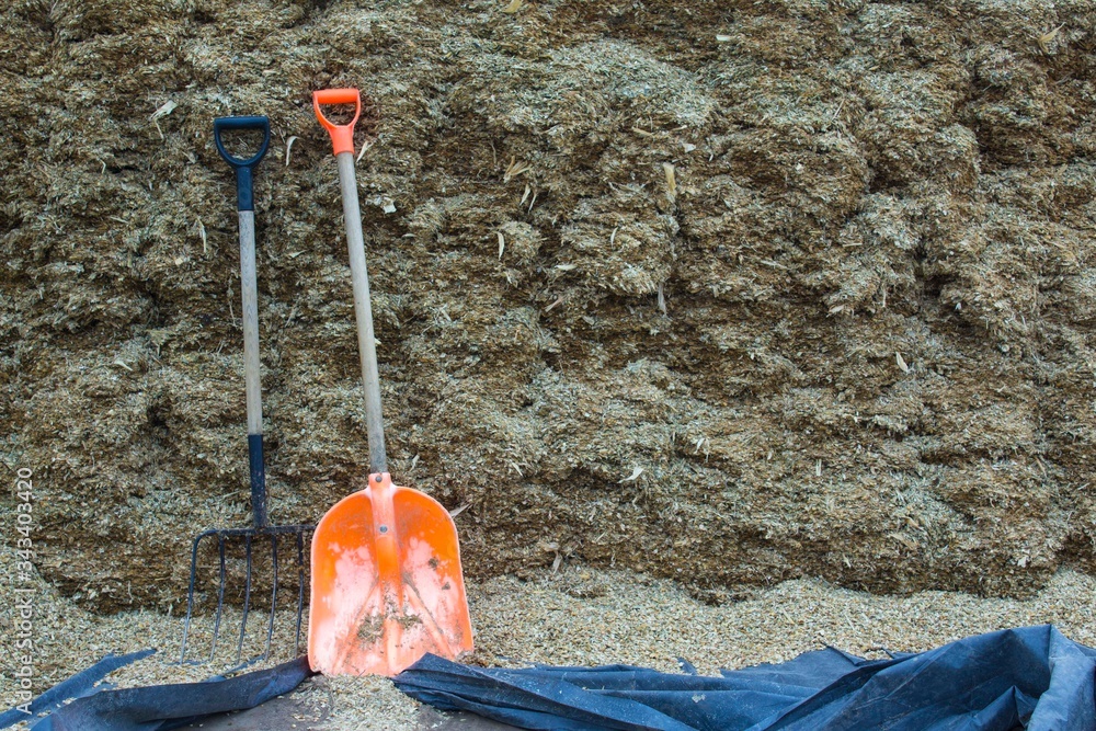 A pile of corn straw with sawdust.Bedding for cows in the barn.Shovel