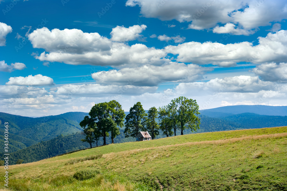 Panoramic view over Carpathian Mountains, Romania during summer time