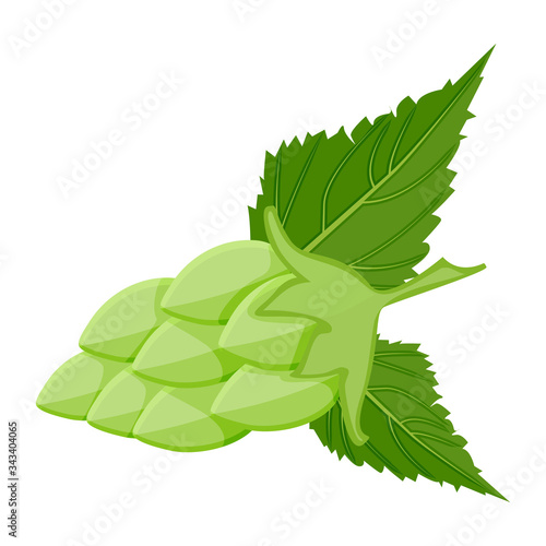 Hop cone isolated on white background. Stylized hops with leafs icons or logos for beer, stout, ale, lager, bitter labels and packaging. Design element for poster, card, banner. Stock vector