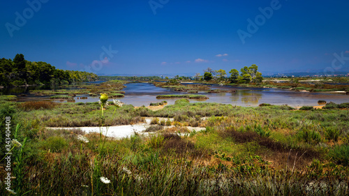 Sunny, summer day in The Divjake-Karavasta National Park - view from the observation platform in the Lagoon of Karavasta. Divjake, Fier County  - Albanian Adriatic Sea Coast.