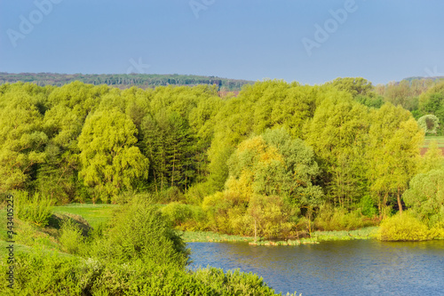 Deciduous forest by the lake in floodplain of river