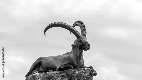 Steinbock