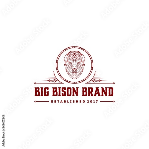 grunge hand drawn drawing Bison logo icon , vintage classic icon logo with element and ornament style, hipster and decorative