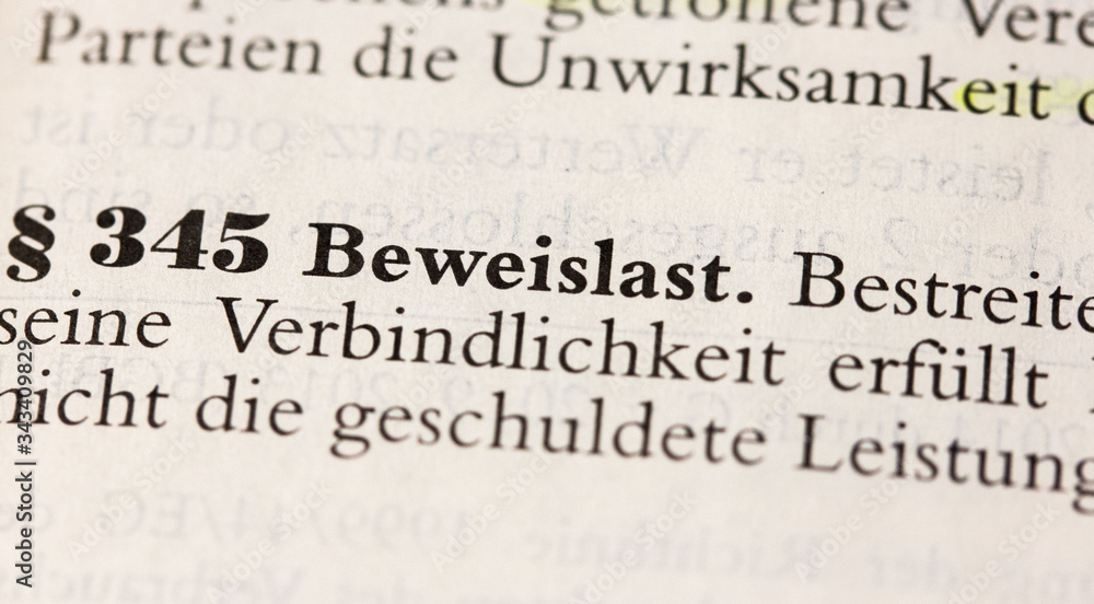 Beweislast, Darlegungslast in § 345 BGB Beweislast, Darlegungslast in § 345 BGB