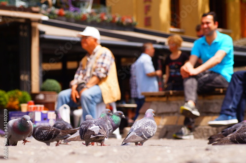 Istanbul / Turkey - May 15, 2018: Pigeons eating bait in Istanbul Ortakoy. pigeons are eating on the ground. brightly colored pigeons. Feeding pigeons in Ortaköy Istanbul of Turkey.