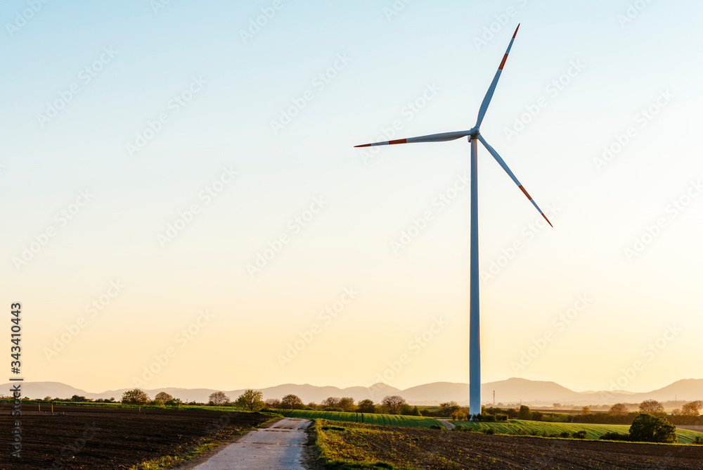 A dirt road leads through the Rhine plain to a single wind turbine.