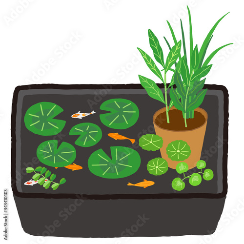 トロ船 睡蓮鉢 水辺植物 メダカ 睡蓮 Stock Vector Adobe Stock トロ船 睡蓮鉢 水辺植物 メダカ 睡蓮 Stock Vector Adobe Stock