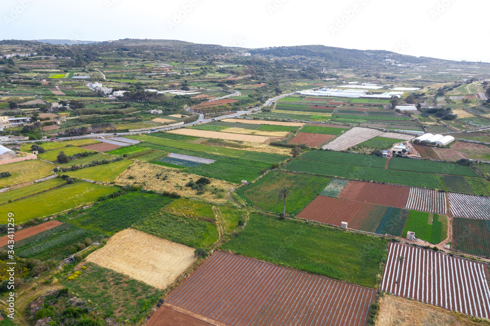 Aerial view of green colorful agriculture fields. Nature countryside landscape. Spring in Malta island