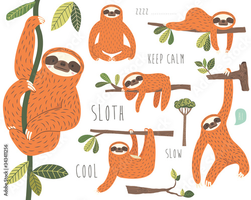 Set of Cute Sloth Hanging on Tree Collection