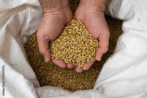 Brewers malt of different sorts packed in big bags