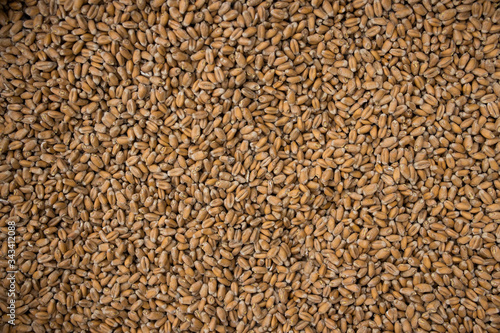 Brewers malt of different sorts packed in big bags