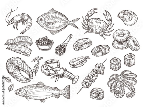 Hand drawn seafood. Natural oyster squid, caviar. Japanese meal ingredients. Isolated sketch sushi salmon, roast prawn vector illustration. Ocean and seafood, restaurant menu food collection