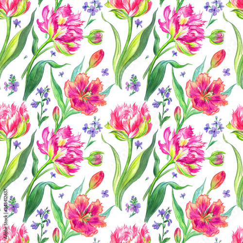 Tulips seamless pattern on a white background  watercolor drawing  floral background for various designs  print for fabric