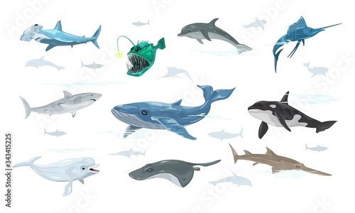 Vector set isolated on white of undersea world with swimming marine animals, creatures, monsters, fishes dolphin, anglerfish, swordfish, whale, shark, sawfish, beluga, atlantic torpedo hammerhead.
