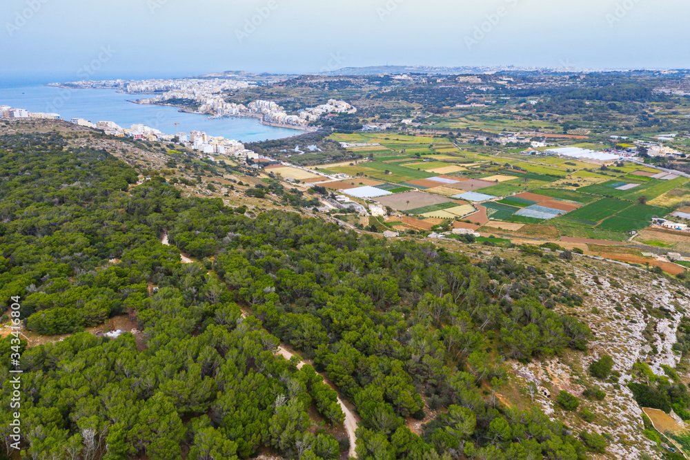 Aerial view of green forest, sea and colorful agriculture fields. Nature countryside. Malta island