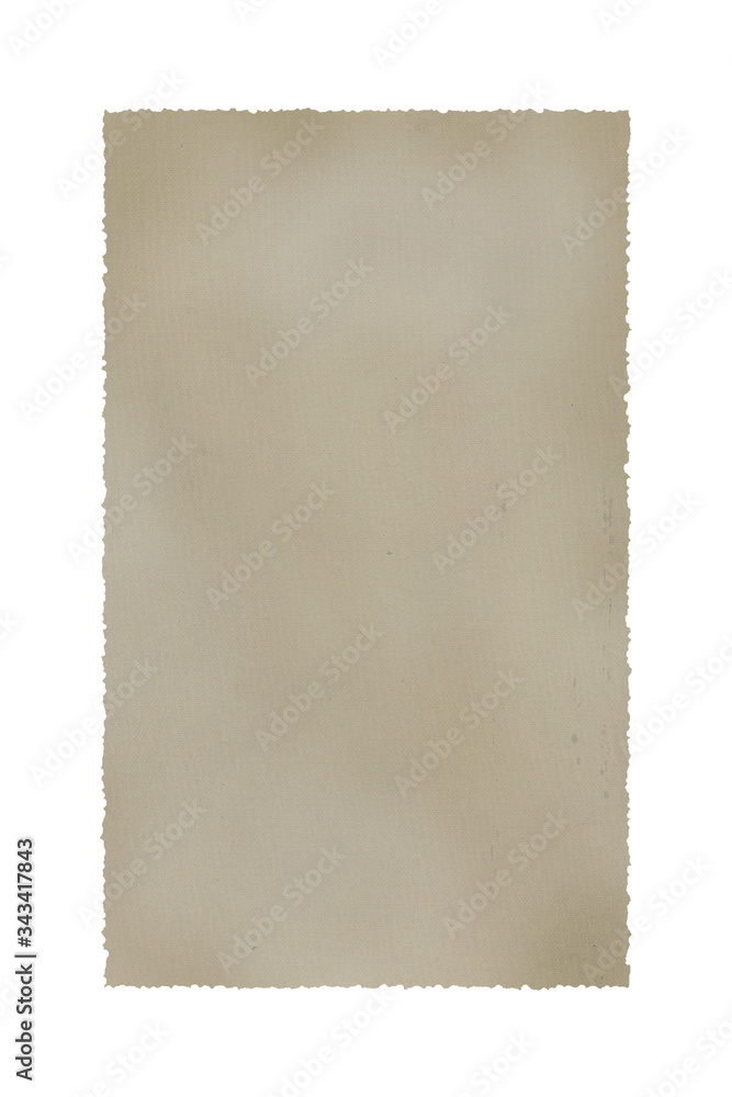Fototapeta premium Papyrus isolated on white