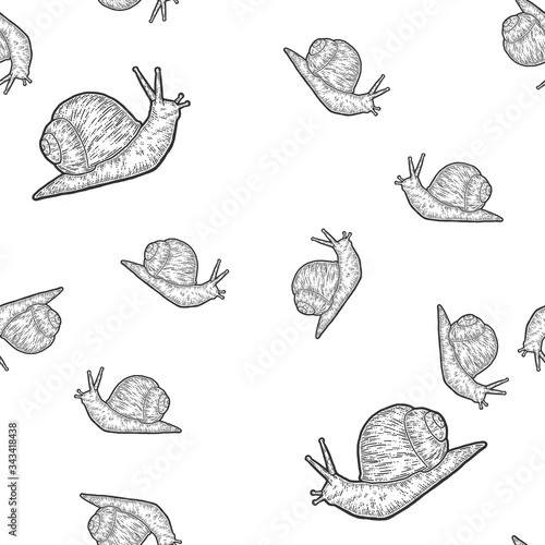 Seamless. Snail gastropods, isolated animal. Sketch scratch board imitation.