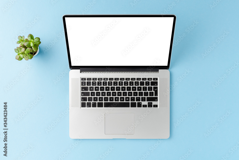 Overhead shot of laptop with empty screen and green flower on blue desktop. Business background. Flat lay Overhead shot of laptop with empty screen and green flower on blue desktop. Business background. Flat lay