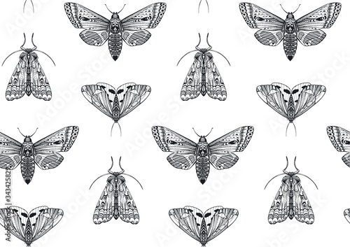 Vector seamless pattern with hand drawn insects. Entomological magical endless background.