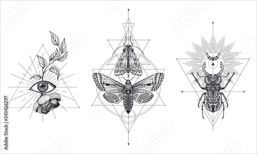 Collection of black and white moths and beetle over sacred geometry sign, isolated vector illustration.