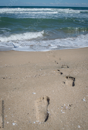 Going in later Steps on the beach.