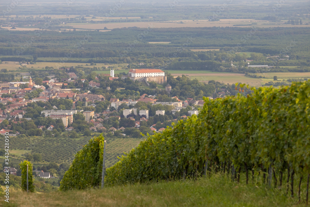 Naklejka premium Siklos castle in Villany region with vineyards, Southern Hungary