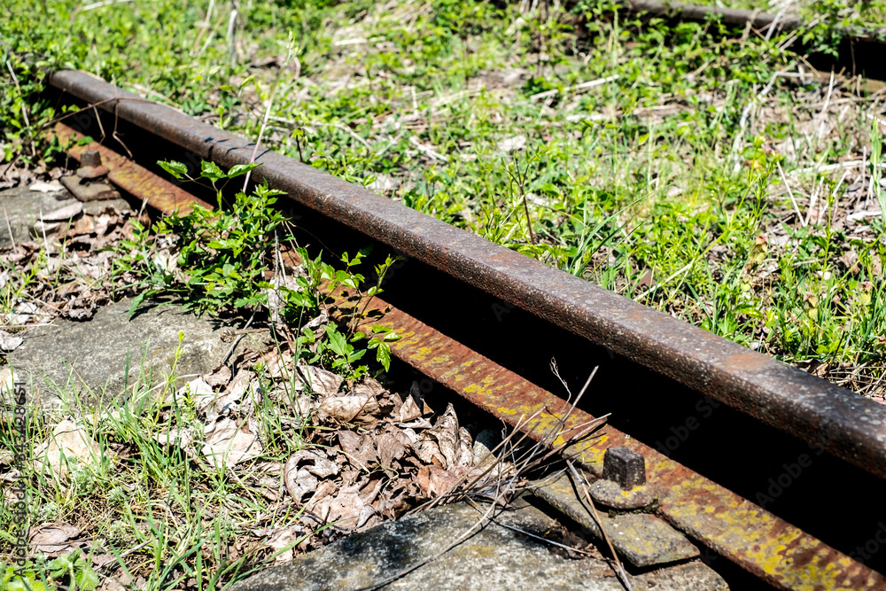 Fototapeta premium Rusty rail track rail abandoned