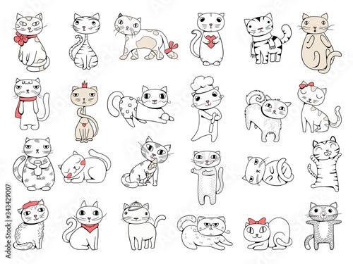 Fototapeta Naklejka Na Ścianę i Meble -  Cats. Domestic pets funny hand drawn animals vector collection. Illustration domestic kitten pet, animal funny isolated character