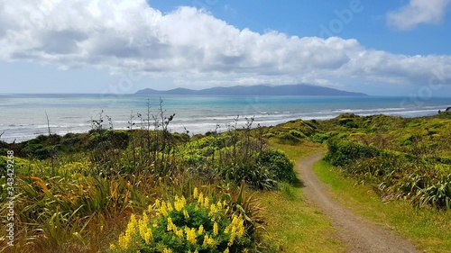 View towards Kapiti island New Zealand photo