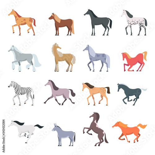 Horse breeds. Strong beautiful domestic animals in action poses jumping and walking pony vector set. Illustration horse animal, strong mammal purebred