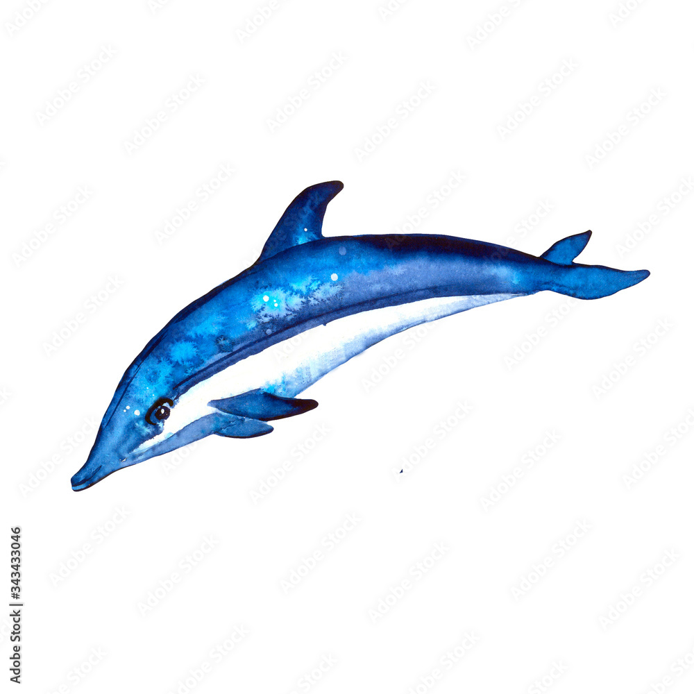 Fototapeta premium Dolphin isolated on a white background. Watercolor. Summer mood, sea, ocean.