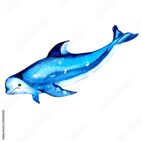 Dolphin isolated on a white background. Watercolor. Summer mood  sea  ocean.