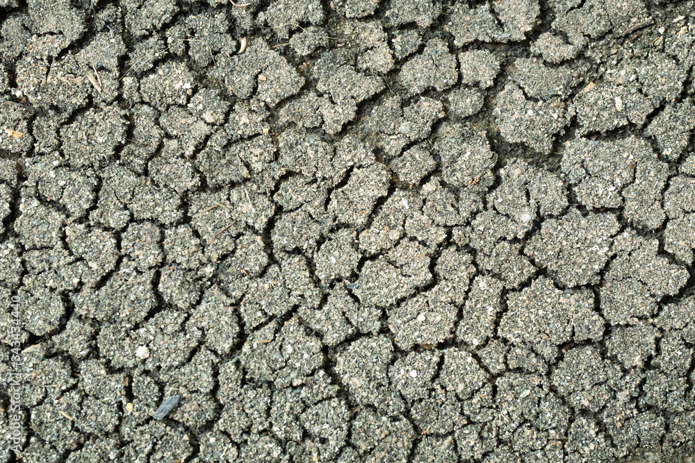 Scorched earth drought landscape dramatic, Global warming concept , Land dry and become cracked dirt Scorched earth drought landscape dramatic, Global warming concept , Land dry and become cracked dirt