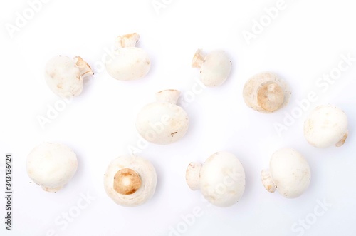 Top view of many edible mushrooms on the white background.Champignon mushrooms as an ingredient for meal