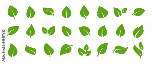 Obraz na plátne Set of green leaf icons