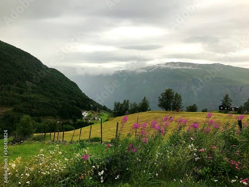 Countryside