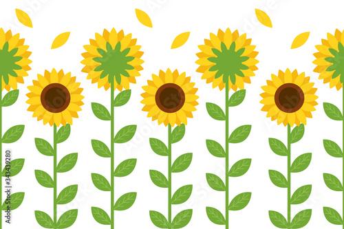The seamless pattern of cute sunflower on the white background. The front of sunflower and back of sunflower on the white background. The cute sunflower in flat vector style.