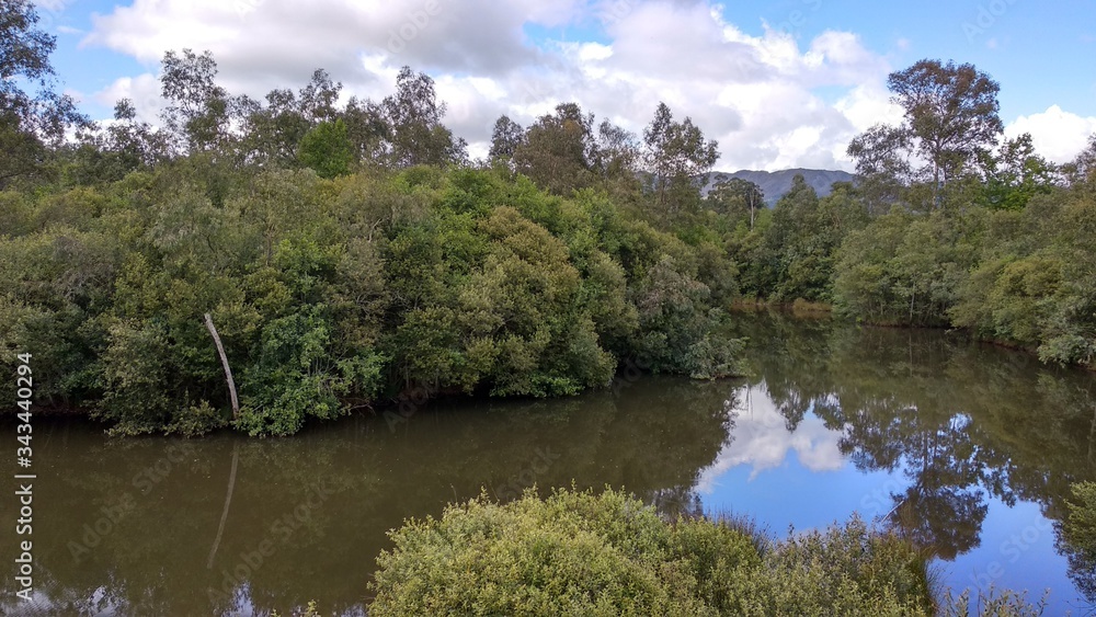 lake in the forest