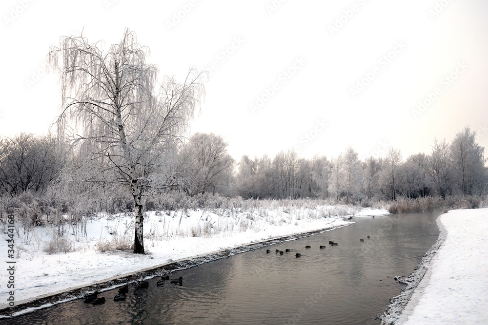 Obraz premium ice-free stream among snow-covered banks