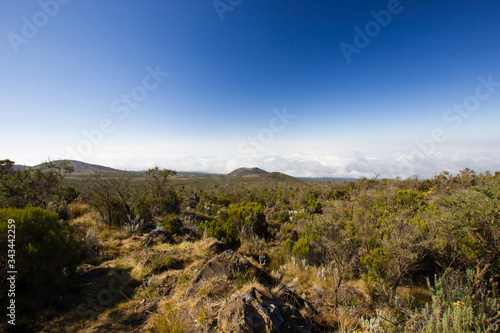 Wallpaper Mural Steppe on the Marangu route to the Mount Kilimanjaro in Africa Torontodigital.ca