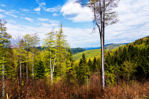 Fototapeta Naklejka Na Ścianę i Meble -  Beskid Maly mountains in carpathian mountains range. Miedzybrodzie, Poland
